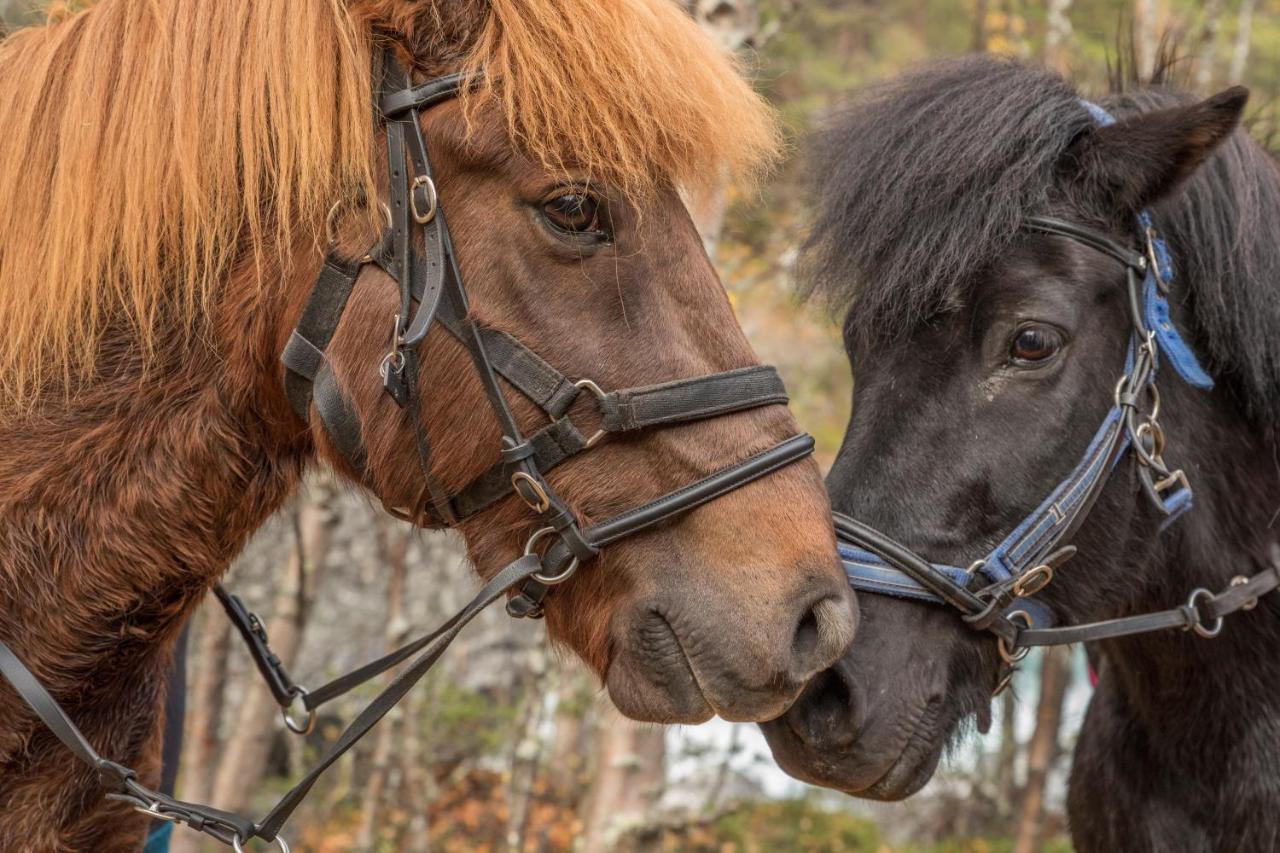 Fjelleventyret Gardsovernatting Skjåk Exteriér fotografie