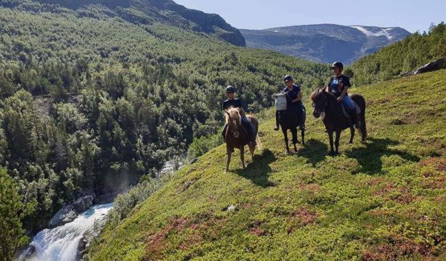 Fjelleventyret Gardsovernatting Skjåk Exteriér fotografie
