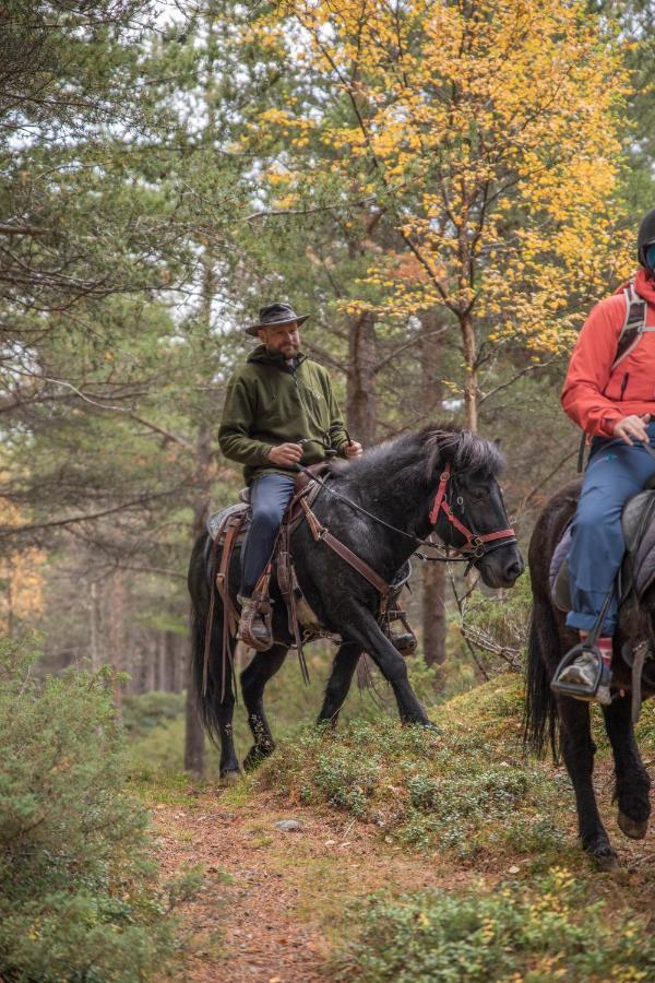 Fjelleventyret Gardsovernatting Skjåk Exteriér fotografie