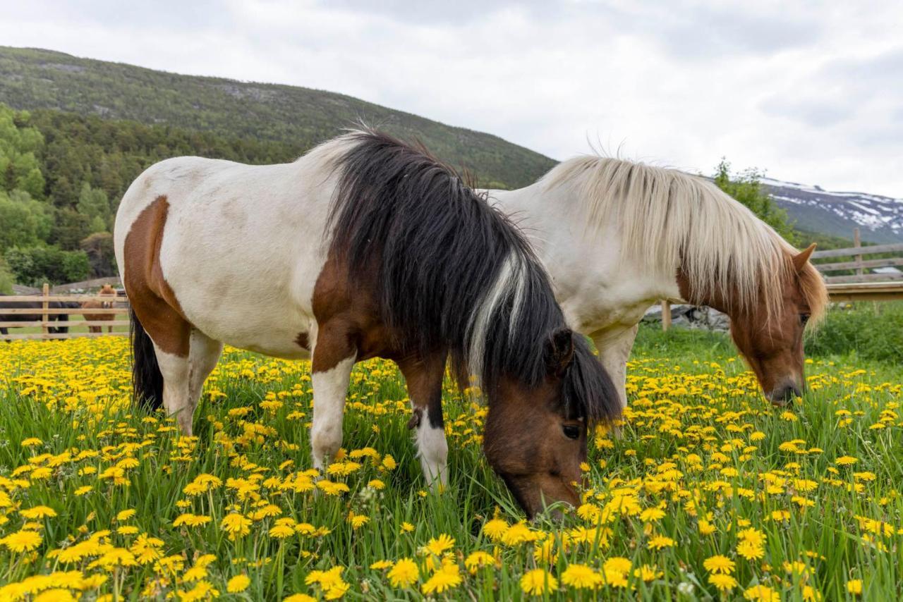Fjelleventyret Gardsovernatting Skjåk Exteriér fotografie