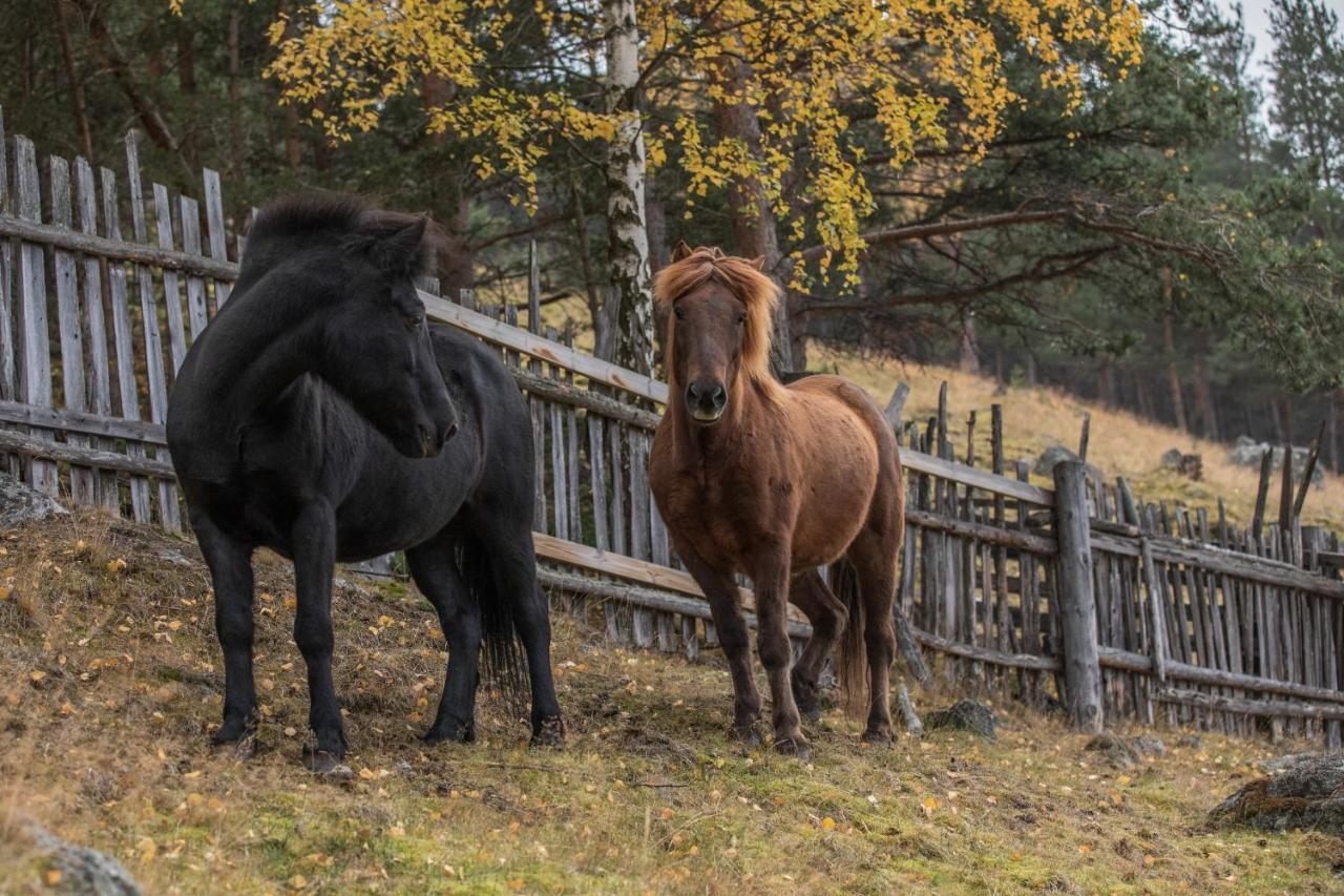 Fjelleventyret Gardsovernatting Skjåk Exteriér fotografie