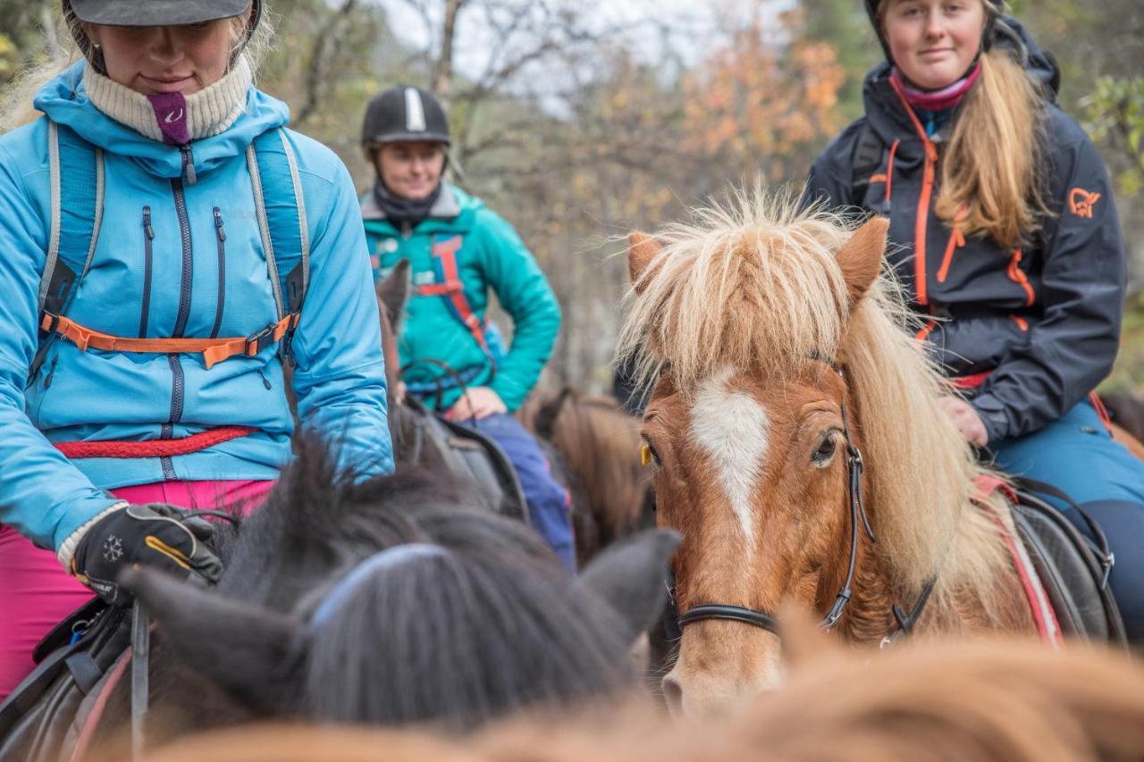 Fjelleventyret Gardsovernatting Skjåk Exteriér fotografie